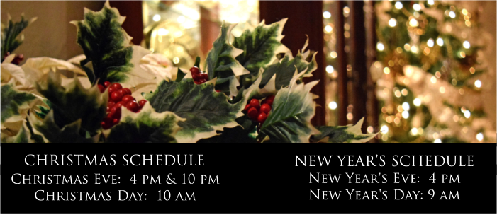 christmasnewyearschedule